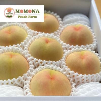 ふるさと納税 美咲町 [訳あり]ご家庭用 モモナピーチファームの桃 1.5kg(5〜7玉)6月中旬〜8月下旬発送予定