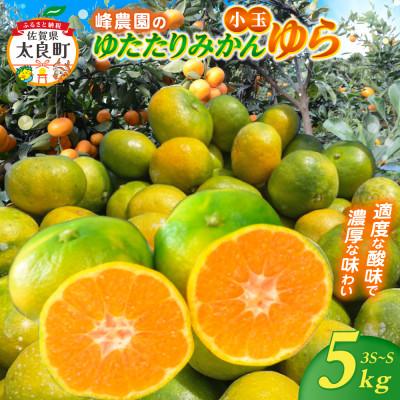 ふるさと納税 太良町 峰農園のゆたたりみかん[ゆら]小玉 5kg[LB5×1]