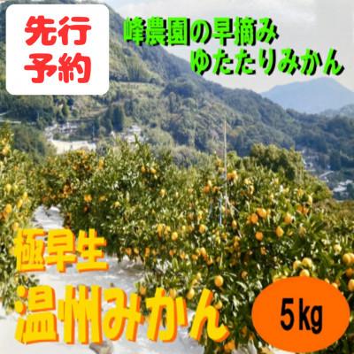 ふるさと納税 太良町 峰農園の早摘みゆたたりみかん 5kg[M94×1]