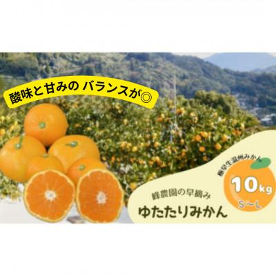 ふるさと納税 太良町 峰農園の早摘みゆたたりみかん 10kg [NB13×1]
