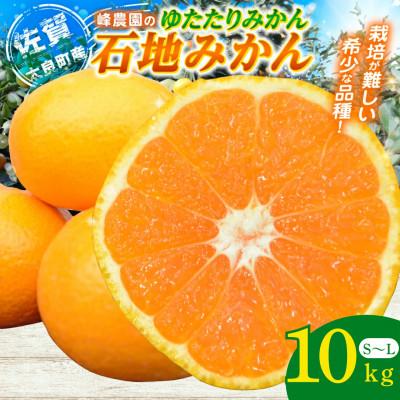 ふるさと納税 太良町 峰農園のゆたたりみかん[石地みかん]10kg[NB14×1]