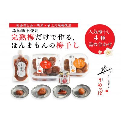 ふるさと納税 おおい町 おおい町産の希少品種の完熟梅 昔ながらの梅干 人気梅干し4種セット(梅干し2種、梅肉、種無し)