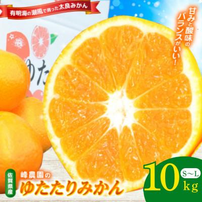 ふるさと納税 太良町 峰農園のゆたたりみかん 10kg[ND11×1]