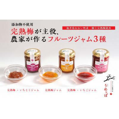 ふるさと納税 おおい町 おおい町産完熟梅と地域の果実で作ったすっきり美味しいジャム 3種セット