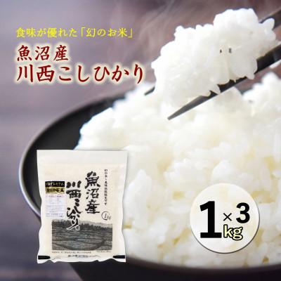 ふるさと納税 十日町市 [先行受付 10月下旬〜発送予定]新潟県魚沼産 川西こしひかり 精米 1kg×3 令和8年産米