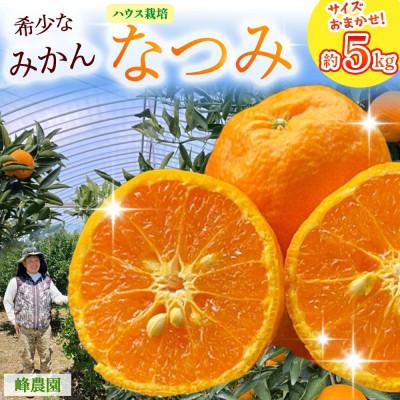 ふるさと納税 太良町 [先行予約]峰農園のハウスなつみ 約5kg (サイズおまかせ)[O165x2]