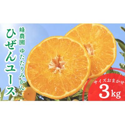 ふるさと納税 太良町 峰農園ゆたたりみかん ひぜんユース 3kg (サイズおまかせ)[OC10×1]