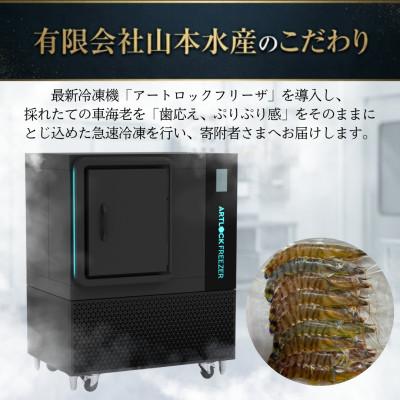 海老蔵さま専用 ふるさと納税 上天草市 【先行受付】生食可!急速冷凍 大きな車海老 約