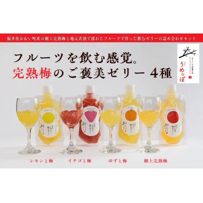 ふるさと納税 おおい町 おおい町産希少梅の完熟梅と地域の果実で作ったゼリーセット4種(レモン、いちご、柚子、梅)