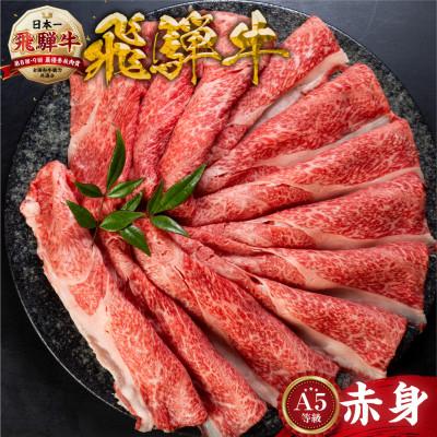 ふるさと納税 本巣市 [A5等級] 飛騨牛赤身肉すき焼き・しゃぶしゃぶ用 350g『モモ・カタ肉』[mt1721]