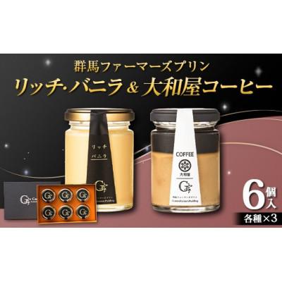ふるさと納税 下仁田町 群馬ファーマーズ プリン リッチ・バニラ&amp;大和屋コーヒー 各3個入り F21K-503