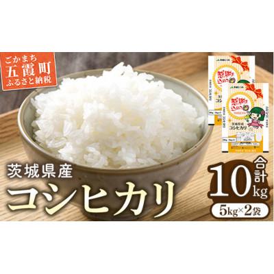 ふるさと納税 五霞町 茨城県産コシヒカリ10kg(5kg×2) 精米