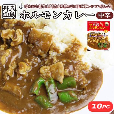 ふるさと納税 舞鶴市 八島丹山ホルモンカレー 10個