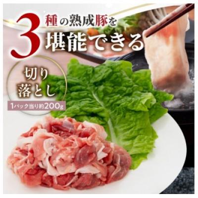 ふるさと納税 延岡市 宮崎県産熟成豚よくばり3種セットB-1