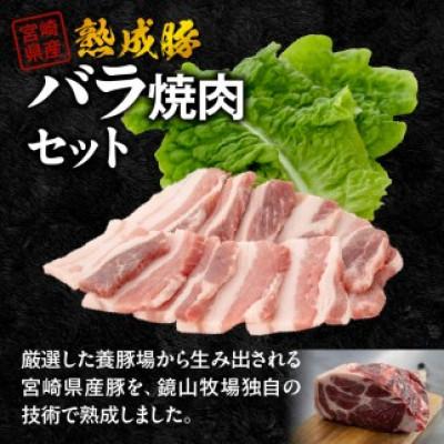 ふるさと納税 延岡市 宮崎県産熟成豚バラ焼肉セット (約250g×2パック)