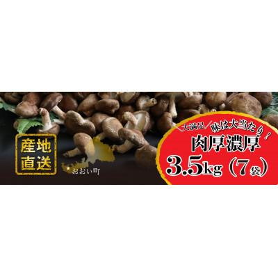 ふるさと納税 おおい町 [訳アリ]おーいしいたけ 約3.5kg(約30〜33人分) 採れたてキノコを産地直送