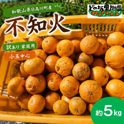 ふるさと納税 日高川町 [貯蔵熟成]不知火 約5kg(家庭用・ワケあり・小玉中心) どの坂果樹園/和歌山県日高川町産