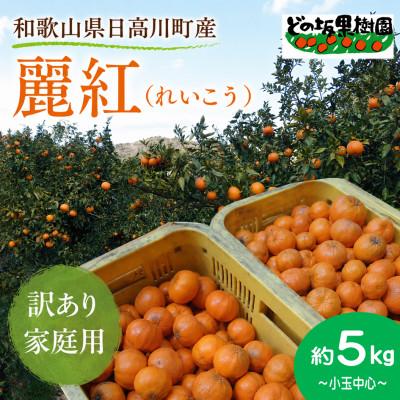 ふるさと納税 日高川町 高級柑橘「麗紅」5kg(家庭用・ワケあり・小玉中心)芳醇な香りと贅沢な果汁が溢れ出す!/どの坂果樹園