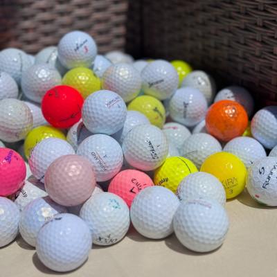 ふるさと納税 武蔵村山市 練習用 ロストボール ブランド、カラー、品質混合 50個セット