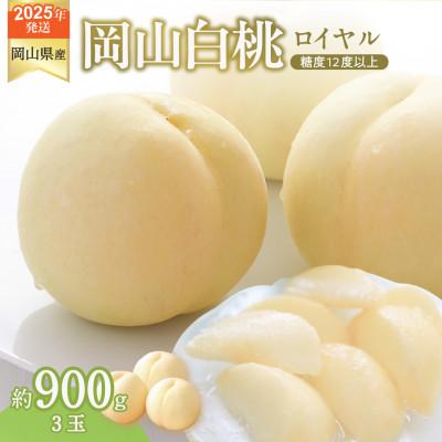 ふるさと納税 備前市 [2027年7月〜8月頃発送分]岡山県産 白桃 特秀 ロイヤル 中玉 約900g 3玉