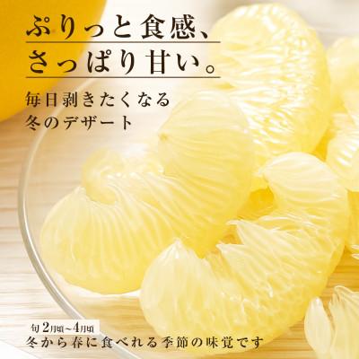ふるさと納税 芸西村 【数量限定】訳あり 土佐文旦 家庭用 (M〜5L混合サイズ) 約10kg 大玉入り【TSM004】 |  | 01
