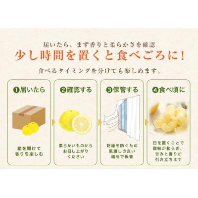 ふるさと納税 芸西村 【数量限定】訳あり 土佐文旦 家庭用 (M〜5L混合サイズ) 約10kg 大玉入り【TSM004】 |  | 03