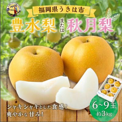 ふるさと納税 うきは市 道の駅うきは 豊水梨または秋月梨 6〜9玉(約3kg)[2026年8月下旬から9月上旬発送予定]