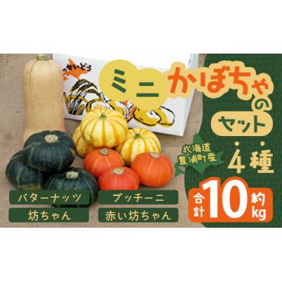 ふるさと納税 豊浦町 ミニかぼちゃのセット4種 合計約10kg(バターナッツ・プッチーニ・坊ちゃん・赤い坊ちゃん)