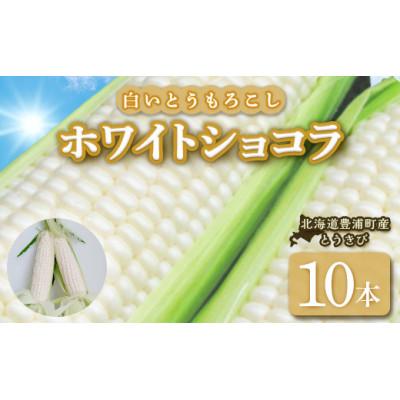 ふるさと納税 豊浦町 ホワイトショコラ 白いとうもろこし 10本
