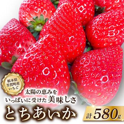 ふるさと納税 芳賀町 [令和9年産先行予約]栃木県芳賀町産 とちあいか 新鮮大粒いちご580g 贈答・ギフト用にも