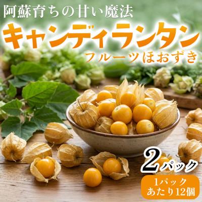 ふるさと納税 阿蘇市 阿蘇育ちの甘い魔法「キャンディランタン」(食用ほおずき)12個×2パック 計24個