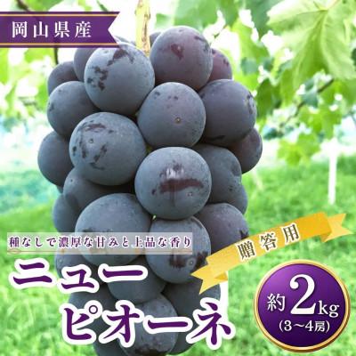 ふるさと納税 高梁市 [2026年発送][贈答用]ニューピオーネ 3〜4房 約2kg