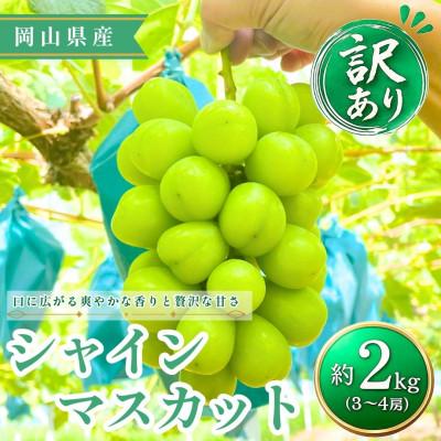 ふるさと納税 高梁市 [2026年発送][訳あり]シャインマスカット 3〜4房 約2kg