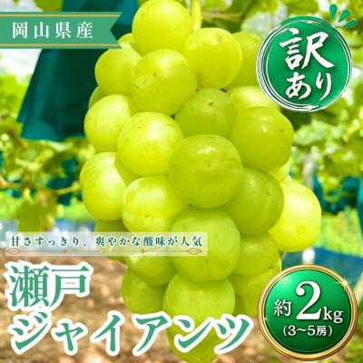ふるさと納税 高梁市 [2026年発送][訳あり]瀬戸ジャイアンツ 3〜5房 約2kg