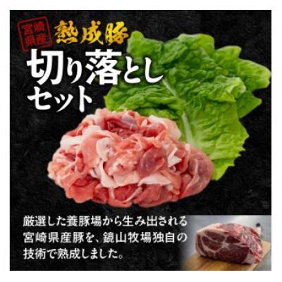ふるさと納税 延岡市 宮崎県産熟成豚切り落としセット 約200g×5