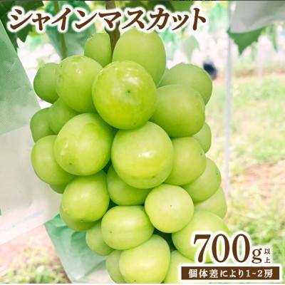 ふるさと納税 大木町 福岡県大木町産 シャインマスカット 約700g(1房から2房)