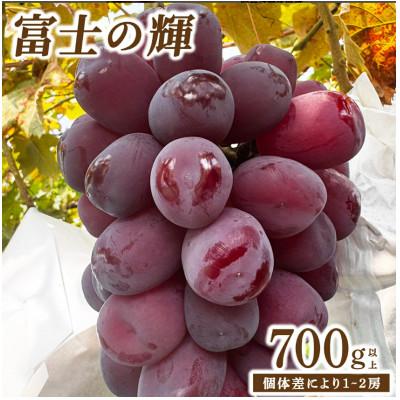 ふるさと納税 大木町 大粒果肉と濃厚な甘みを味わう希少な富士の輝(約700g)