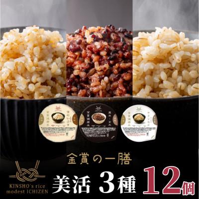 ふるさと納税 松原市 ご飯パック 金賞健康米 美活3種食べ比べセット 12個