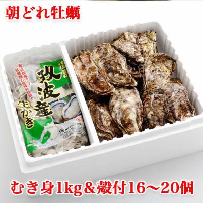 ふるさと納税 大竹市 オレの牡蠣 アミスイ 生牡蠣むき身&amp;殻付 Bセット