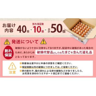 ふるさと納税 赤穂市 赤穂の源　50個(40個+割れ保証10個)25個×2パック |  | 01