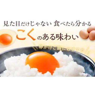 ふるさと納税 赤穂市 赤穂の源　50個(40個+割れ保証10個)25個×2パック |  | 02