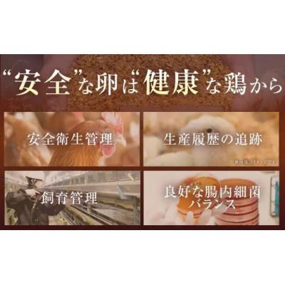 ふるさと納税 赤穂市 赤穂の源　50個(40個+割れ保証10個)25個×2パック |  | 03