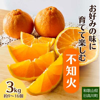 ふるさと納税 日高町 [2027年2月〜4月順次発送]お好みの味に育てて楽しむ不知火 3kg 産地直送 和歌山県産