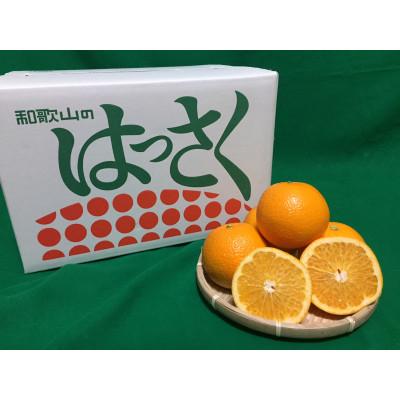 ふるさと納税 那智勝浦町 [2027年1月より順次発送]和歌山県産 八朔(はっさく)約10kg Lサイズ[まごころ手選別]