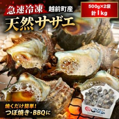 ふるさと納税 越前町 [越前海岸・美味直送シリーズ]急速冷凍サザエ 500g×2パック