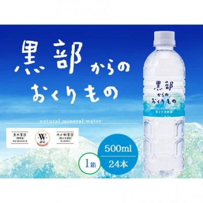 ふるさと納税 黒部市 黒部からのおくりもの 500ml×24本 1ケース 雪解け天然水