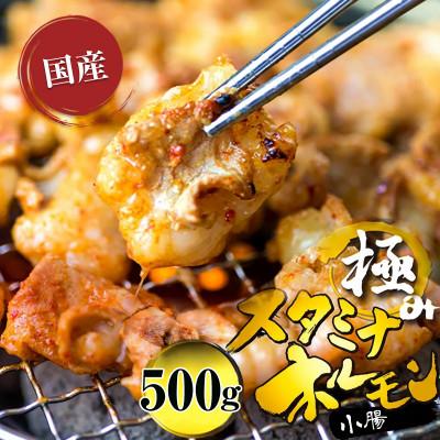 ふるさと納税 舞鶴市 ホルモン牛タレ500g