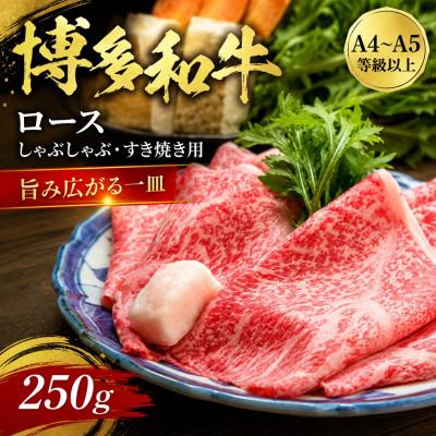 ふるさと納税 太宰府市 [厳選部位][A4〜A5]博多和牛ロースしゃぶしゃぶすき焼き用 250g(太宰府市)
