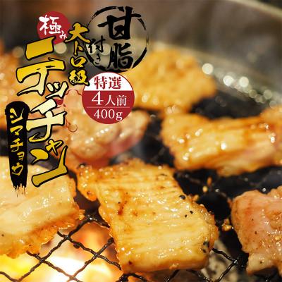 ふるさと納税 舞鶴市 てっちゃんシマ腸400g
