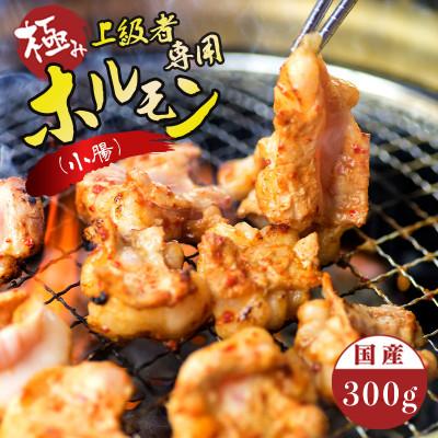 ふるさと納税 舞鶴市 上級者専用ホルモン300g